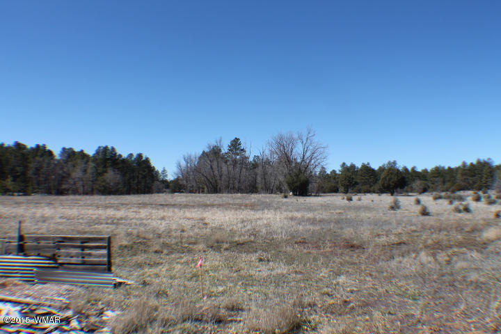 1066 Larson Road Lakeside, AZ 85929 - Photo 5 of 20