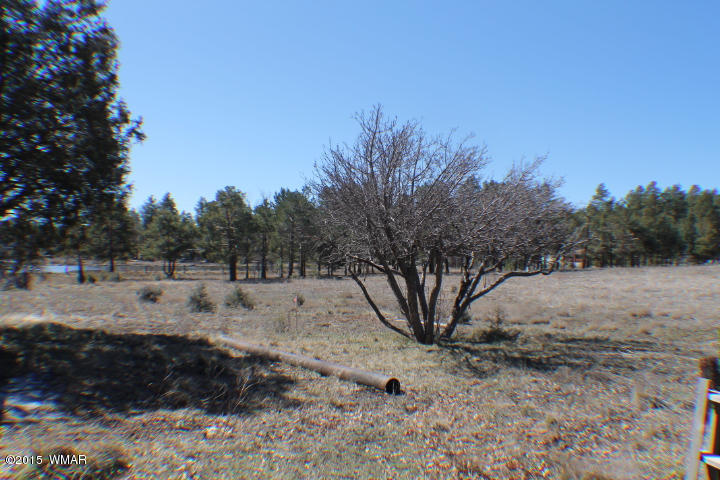 1066 Larson Road Lakeside, AZ 85929 - Photo 6 of 20
