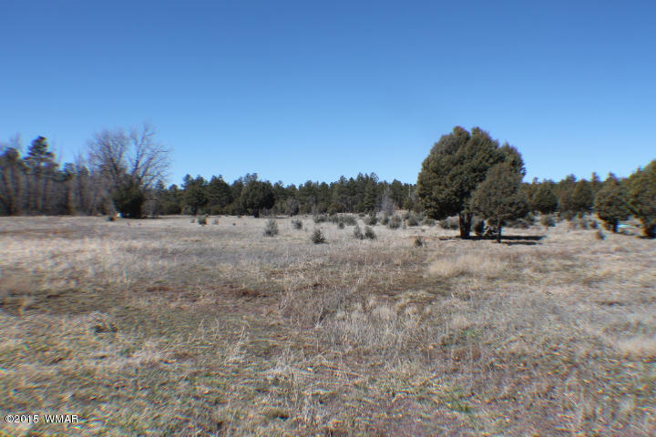 1066 Larson Road Lakeside, AZ 85929 - Photo 8 of 20