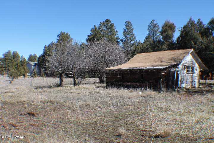 1066 Larson Road Lakeside, AZ 85929 - Photo 9 of 20