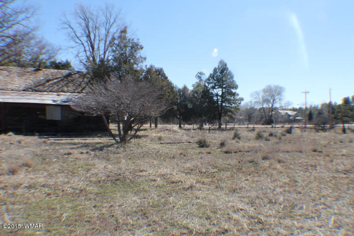 1066 Larson Road Lakeside, AZ 85929 - Photo 10 of 20