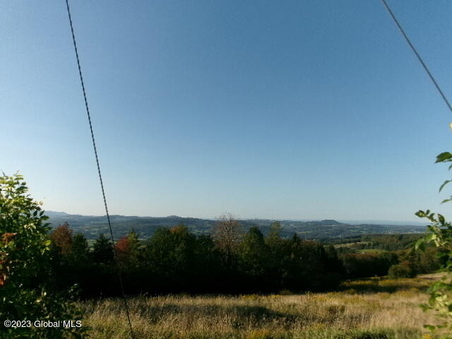 425 A Karker Road Warnerville, NY 12187 - Photo 1 of 7 Superior Distant Mountain Views