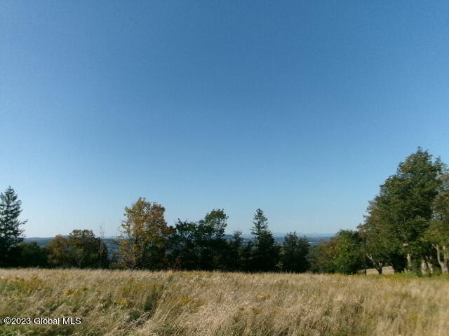 425 A Karker Road Warnerville, NY 12187 - Photo 4 of 7 100_1486