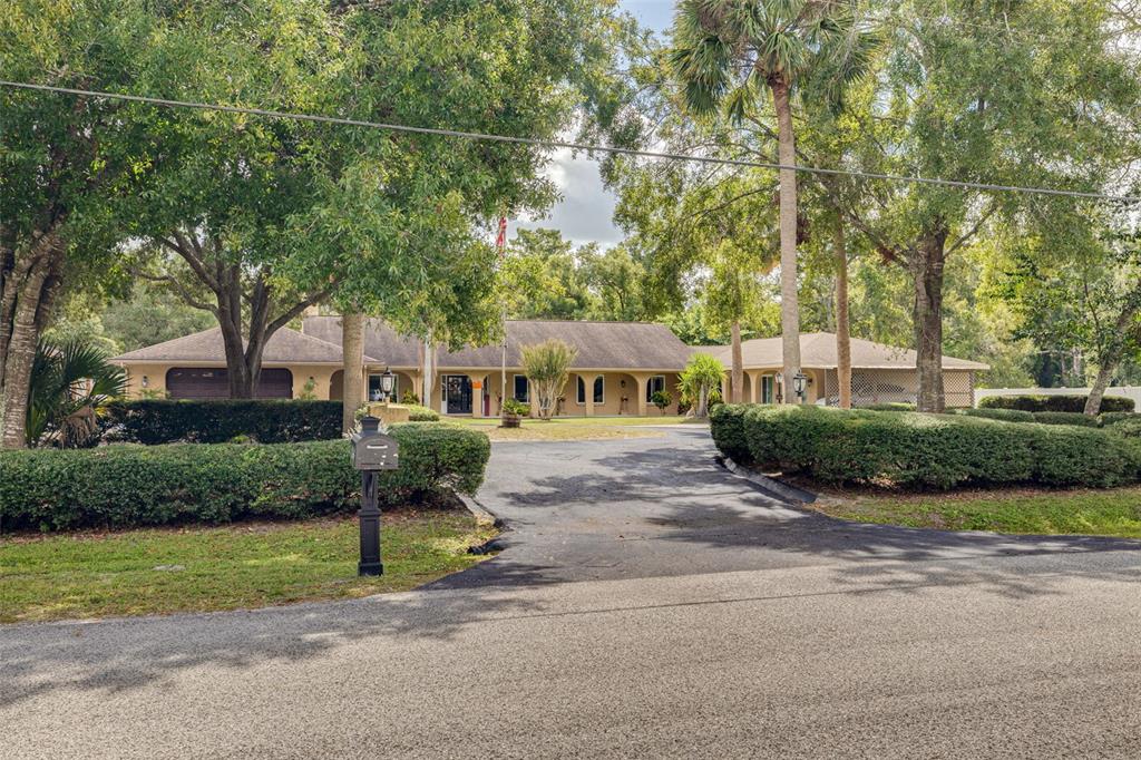 1868 Overview Drive New Port Richey, FL 34655 - Photo 1 of 69 a front view of a house with a yard and potted plants