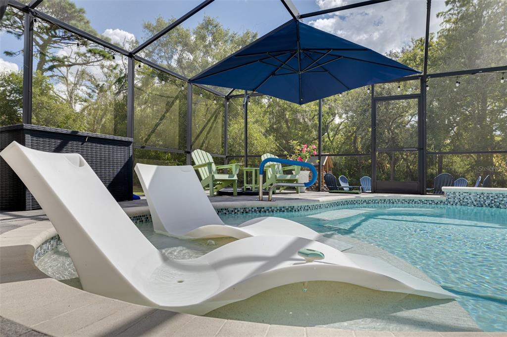 1868 Overview Drive New Port Richey, FL 34655 - Photo 20 of 69 a view of a swimming pool with a patio