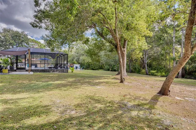a view of a livingroom with furniture and a potted plant