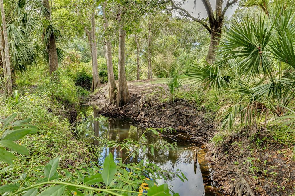 1868 Overview Drive New Port Richey, FL 34655 - Photo 45 of 69