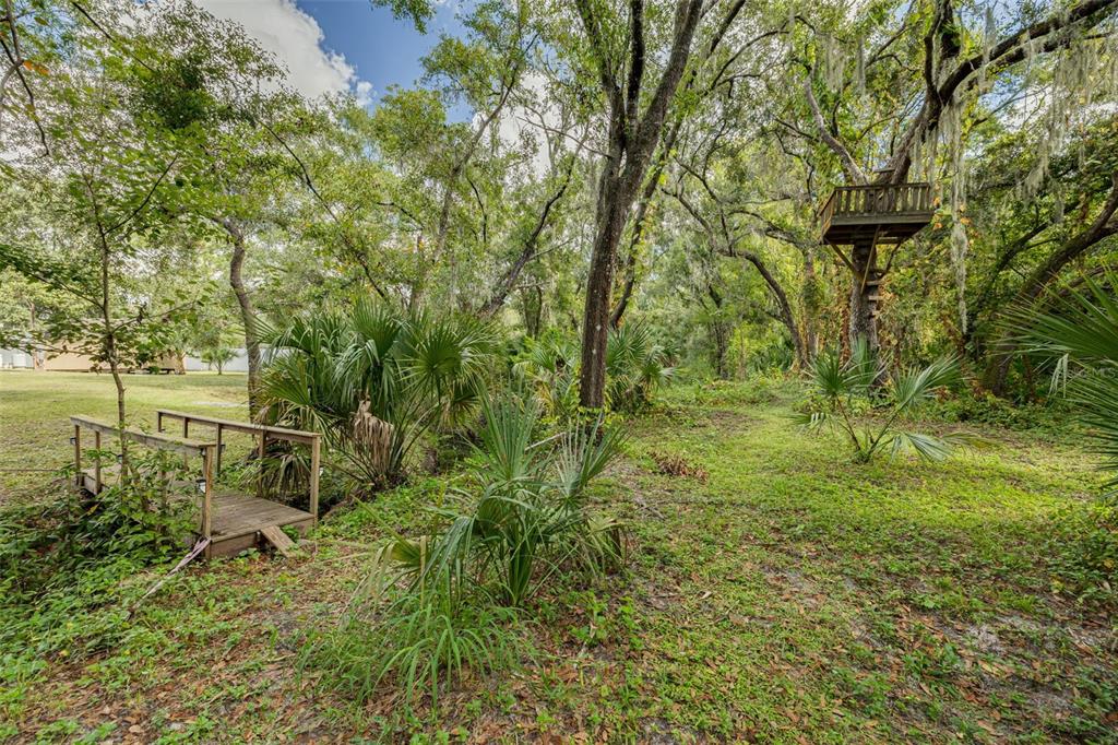 1868 Overview Drive New Port Richey, FL 34655 - Photo 46 of 69 a view of a garden