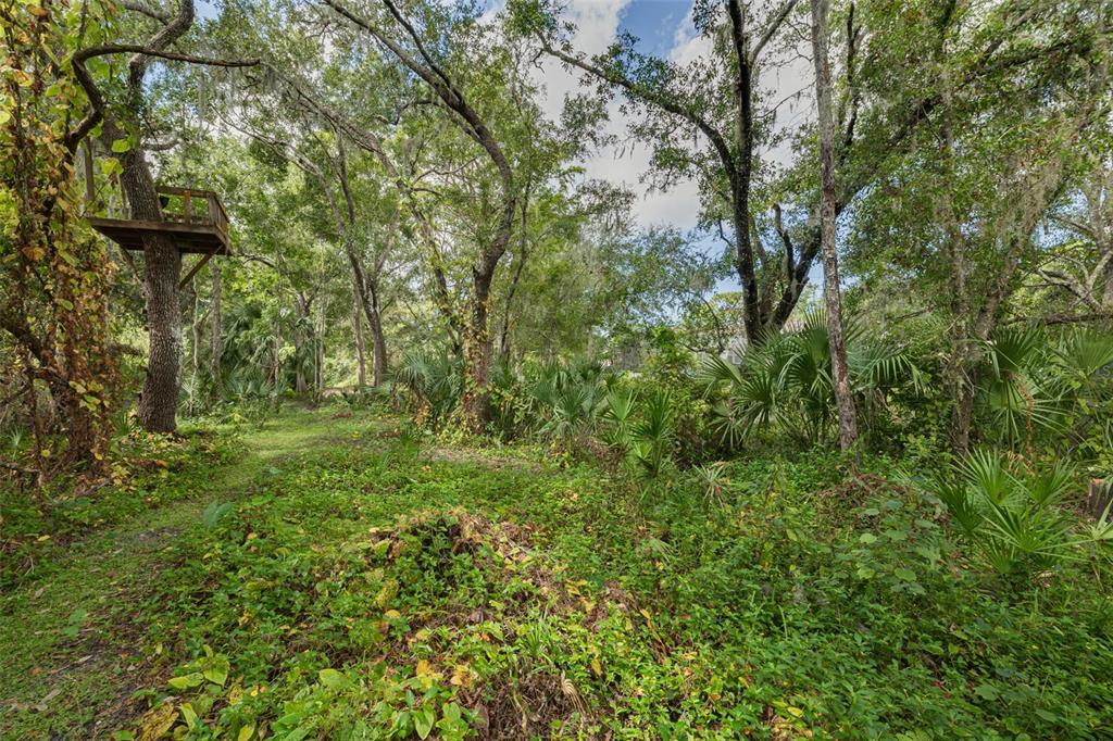 1868 Overview Drive New Port Richey, FL 34655 - Photo 47 of 69