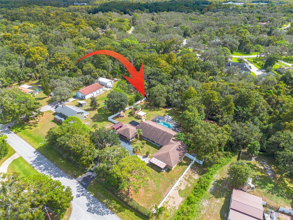 1868 Overview Drive New Port Richey, FL 34655 - Photo 67 of 69