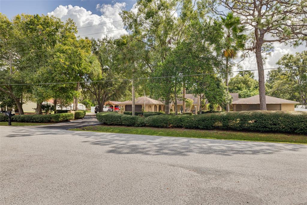 1868 Overview Drive New Port Richey, FL 34655 - Photo 68 of 69 a view of road with trees