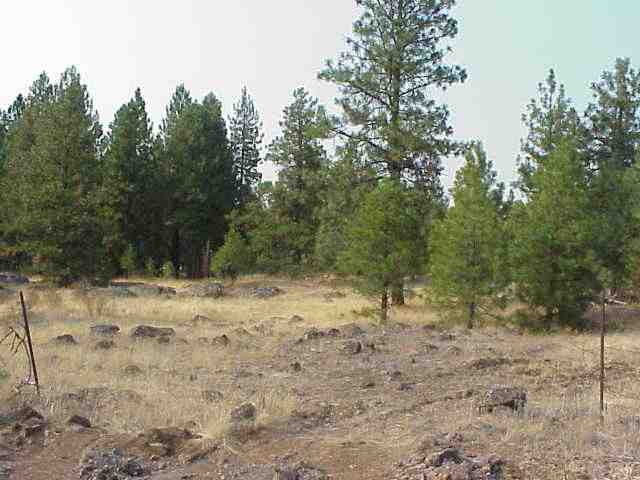 - West Drumheller Road Cheney, WA 99004 - Photo 2 of 3