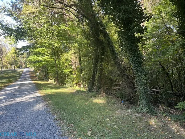 a view of outdoor space with trees all around
