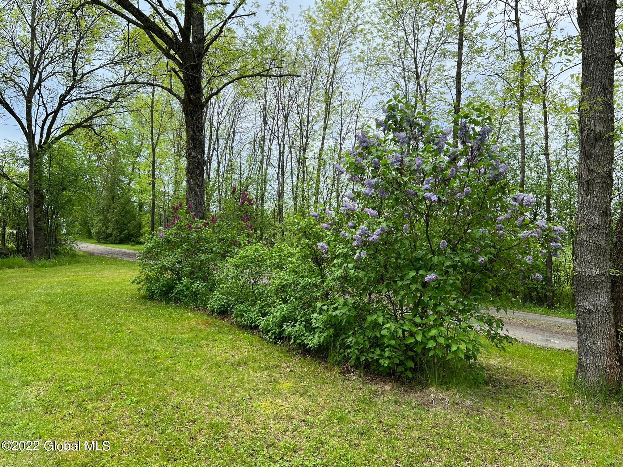 27 Cedar Point Way Crown Point, NY 12928 - Photo 21 of 23 IMG_5779