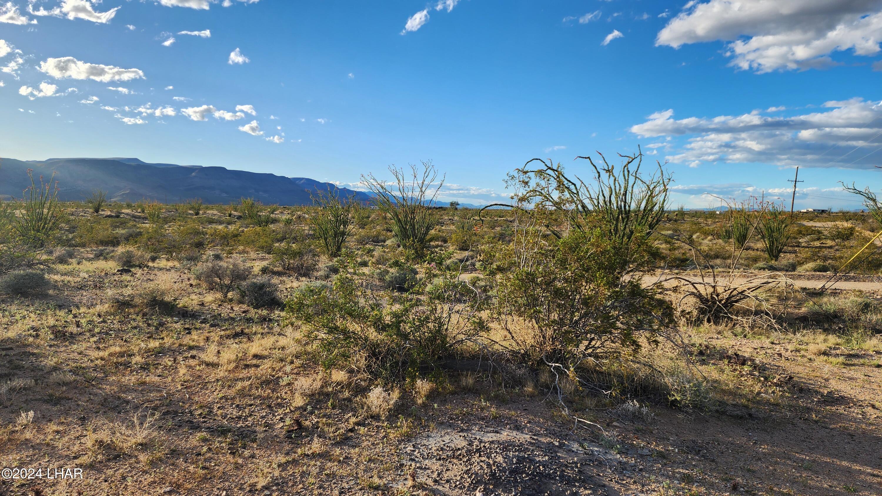 14279 Anegam Road Yucca, AZ 86438 - Photo 20 of 35 20240414_181516
