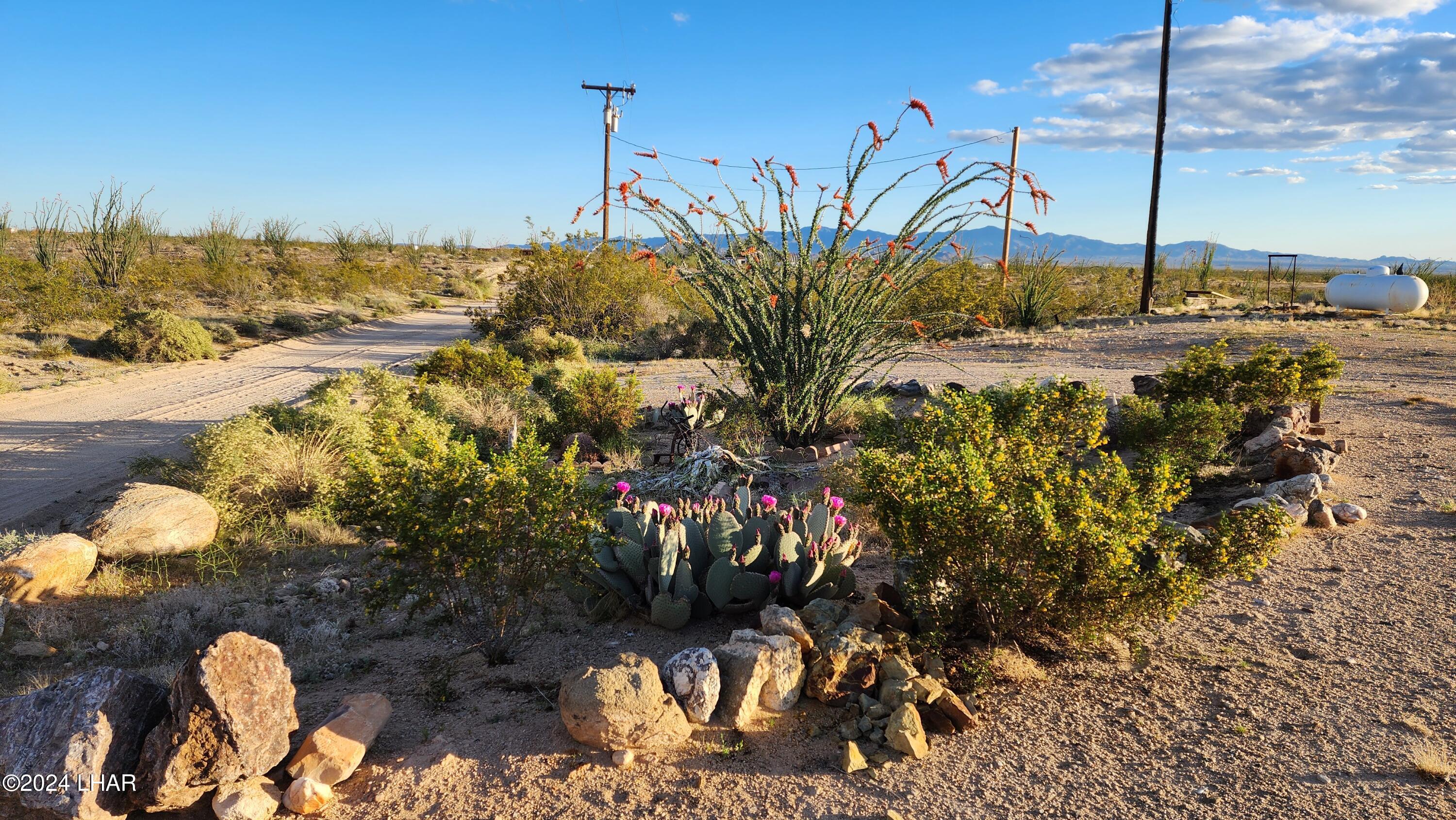 14279 Anegam Road Yucca, AZ 86438 - Photo 2 of 35 20240414_182218