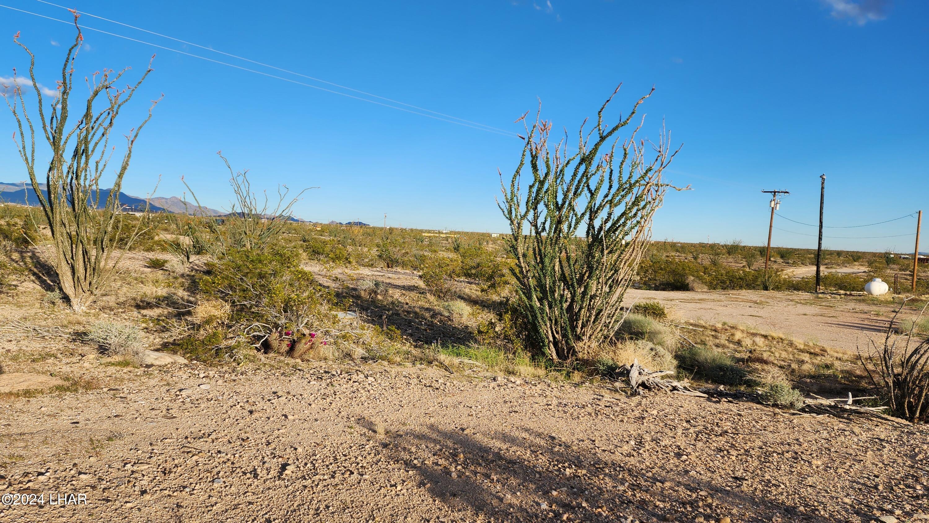 14279 Anegam Road Yucca, AZ 86438 - Photo 22 of 35 20240414_181611