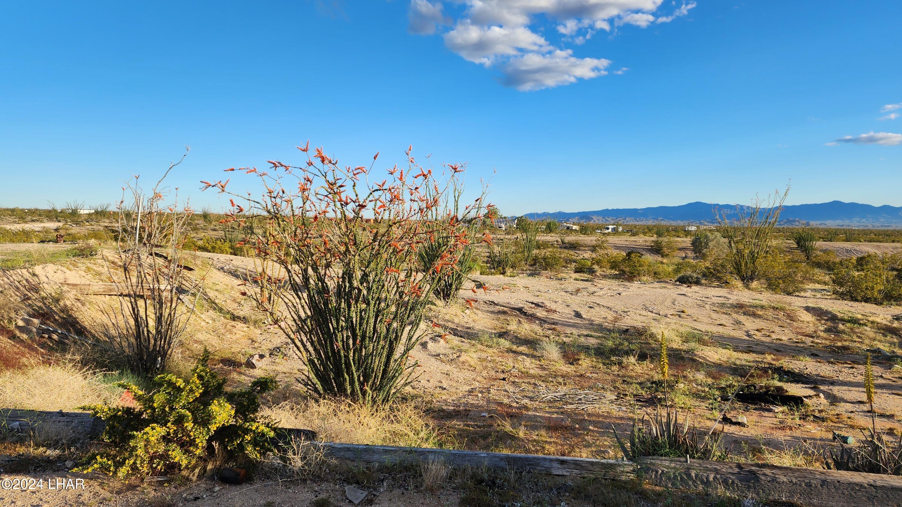 14279 Anegam Road Yucca, AZ 86438 - Photo 26 of 35 20240414_181811