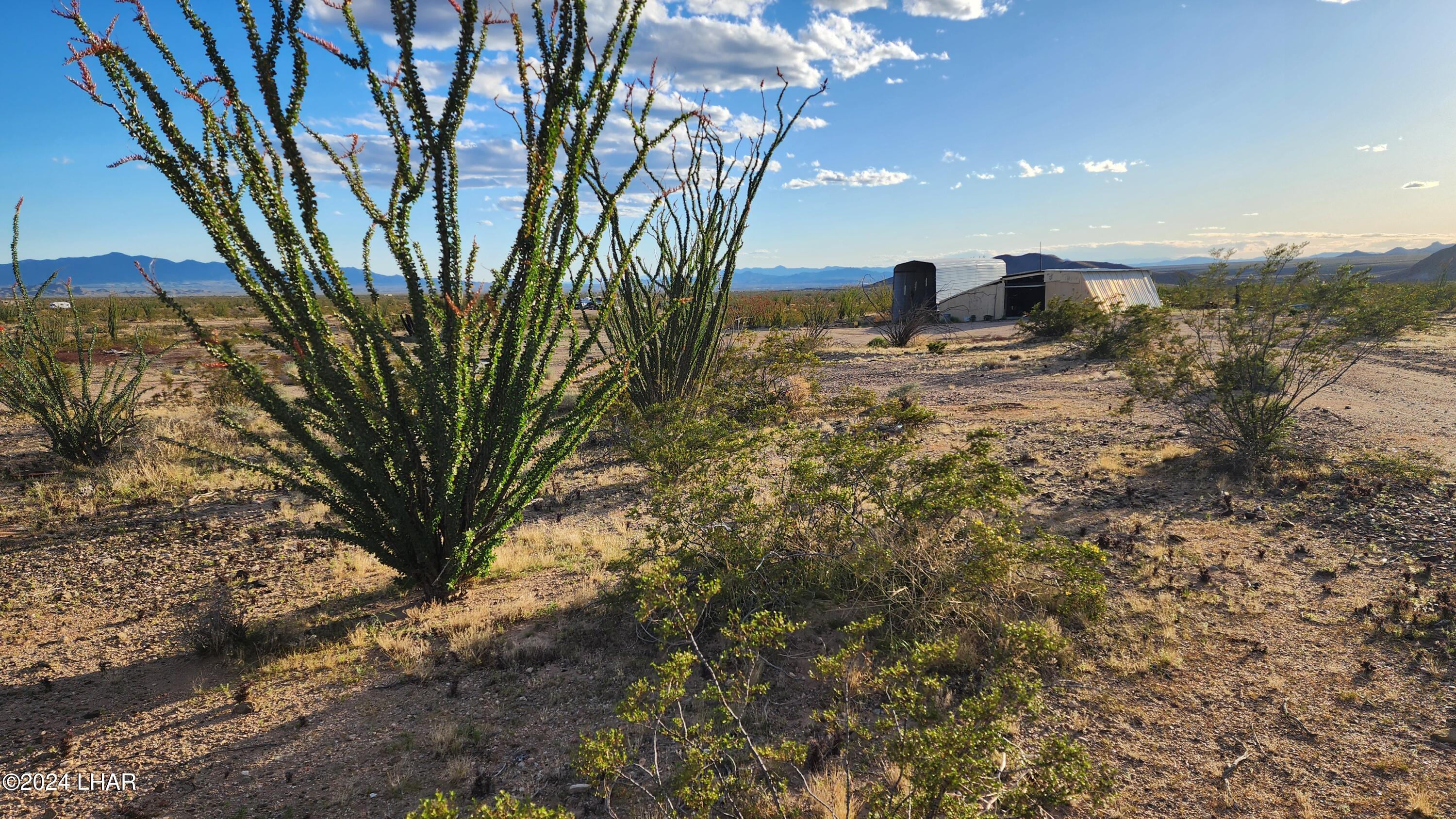 14279 Anegam Road Yucca, AZ 86438 - Photo 3 of 35 20240414_181537