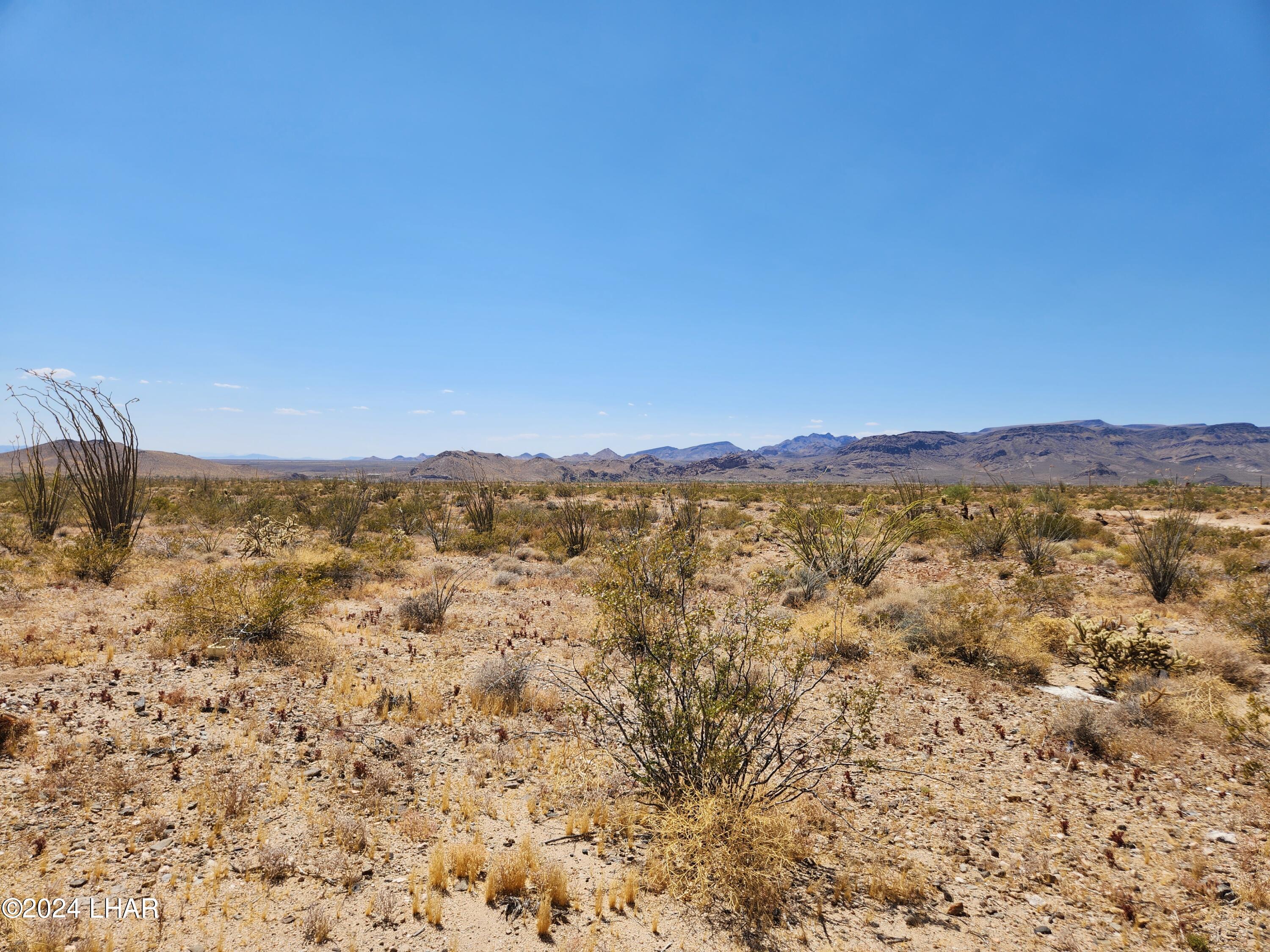 14279 Anegam Road Yucca, AZ 86438 - Photo 32 of 35 20230702_143446