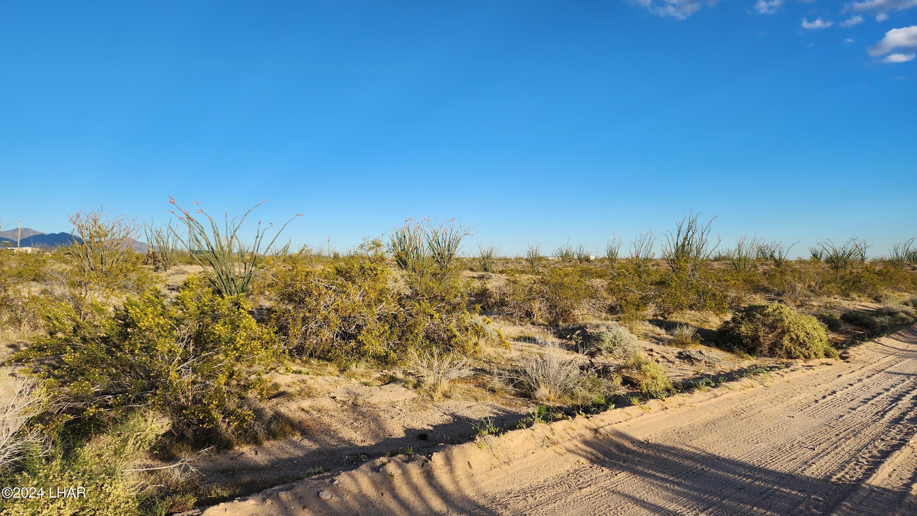 14279 Anegam Road Yucca, AZ 86438 - Photo 33 of 35 20240414_182323