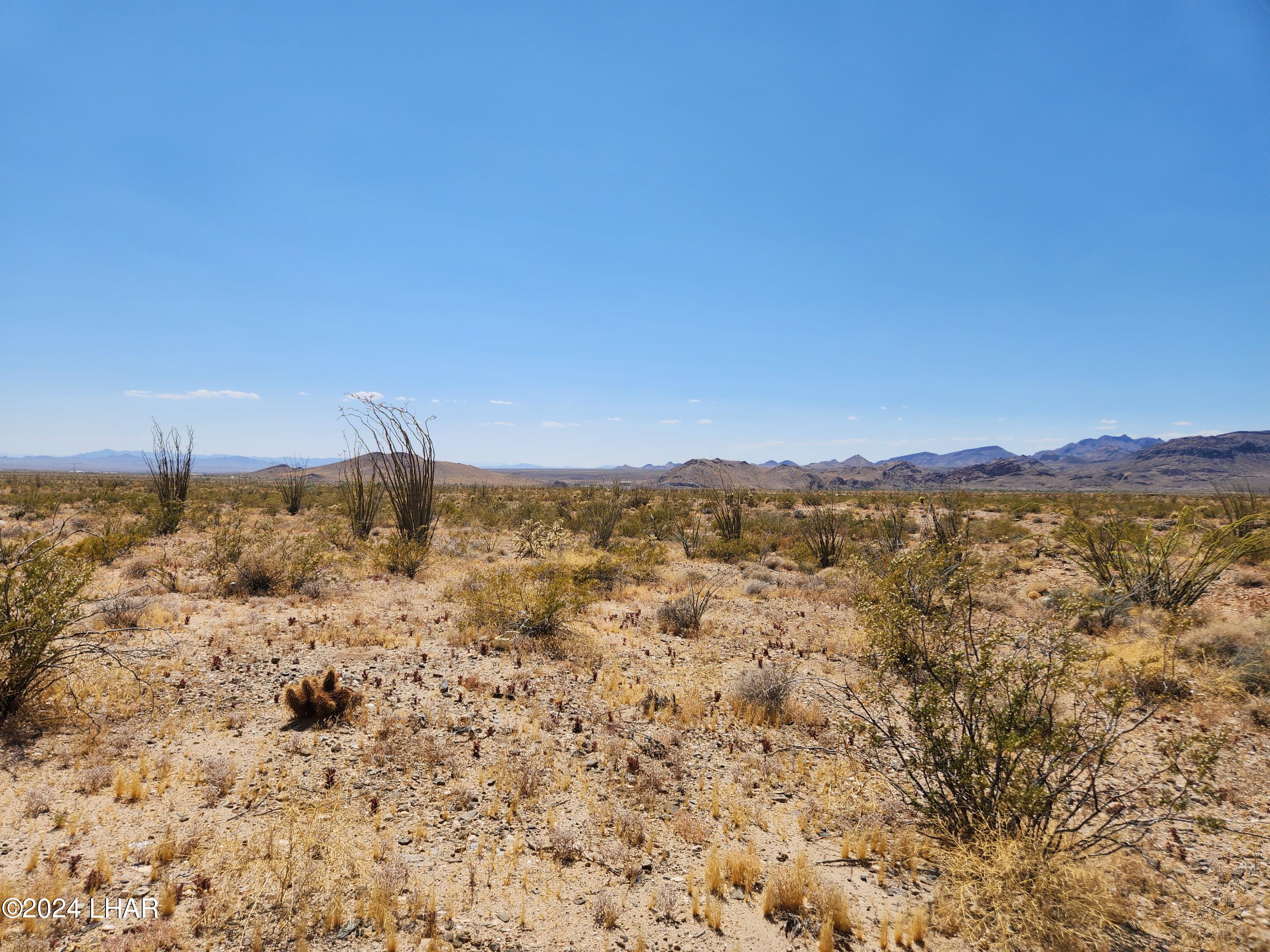 14279 Anegam Road Yucca, AZ 86438 - Photo 34 of 35 20230702_143448