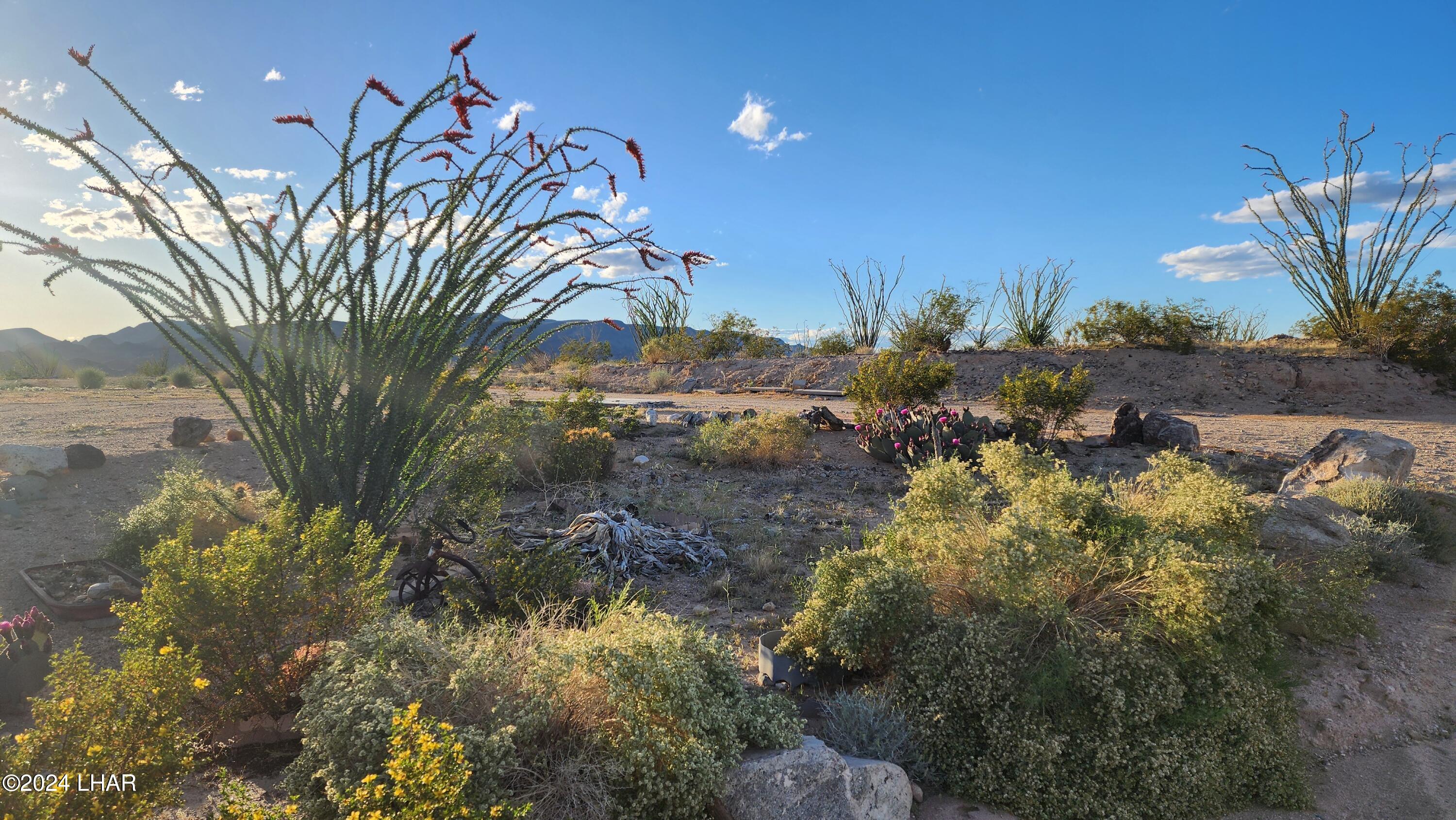 14279 Anegam Road Yucca, AZ 86438 - Photo 7 of 35 20240414_182335