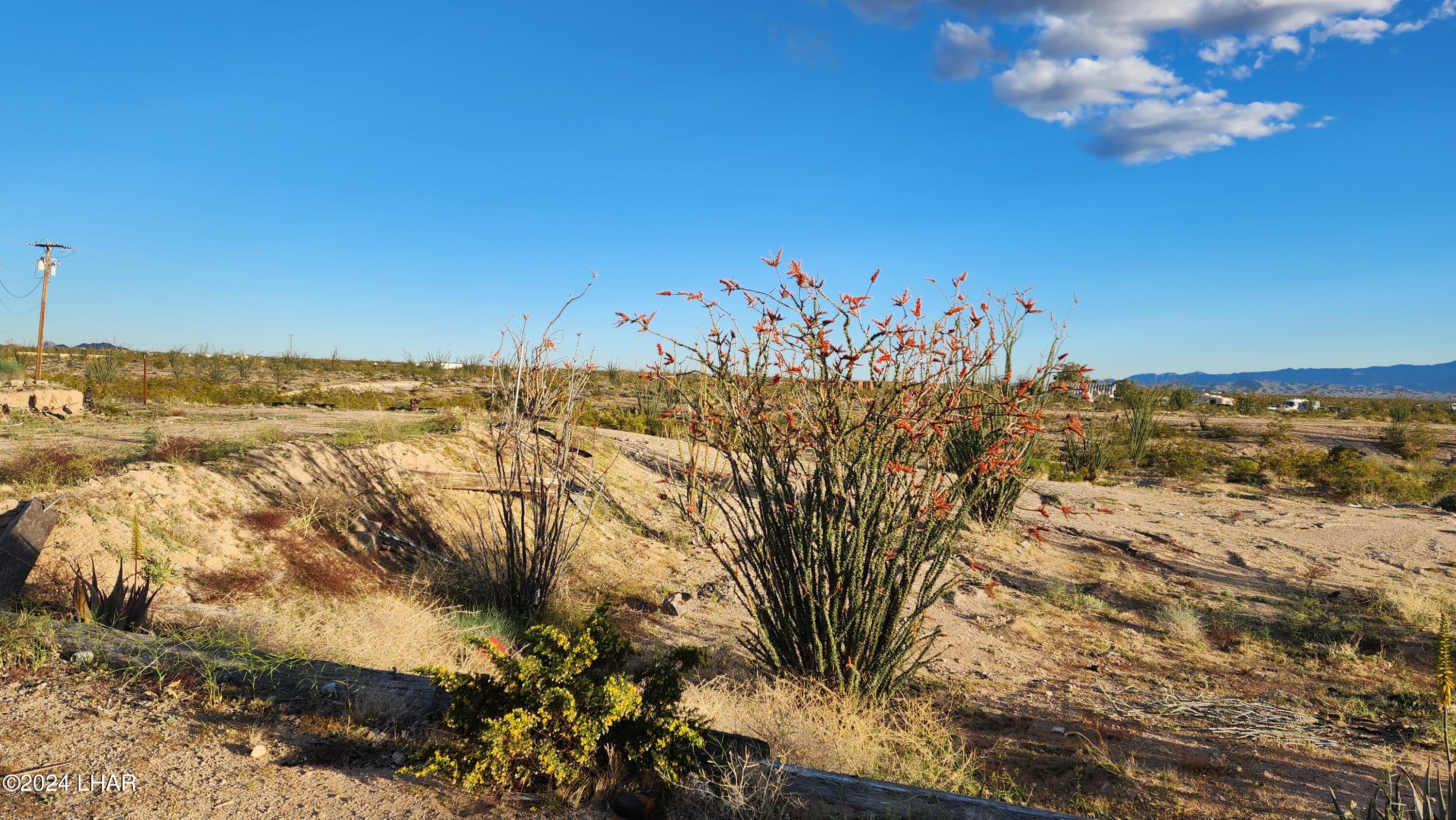 14279 Anegam Road Yucca, AZ 86438 - Photo 8 of 35 20240414_181808