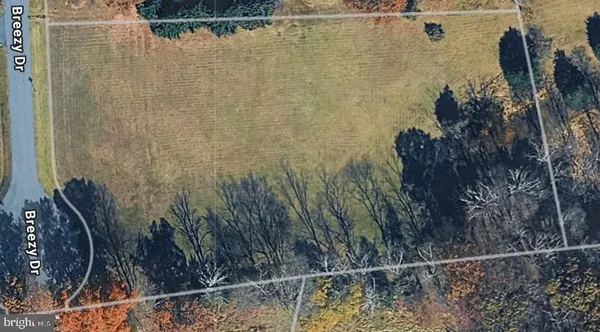 a view of yard with tree s