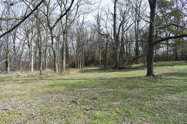 a view of outdoor space with trees all around