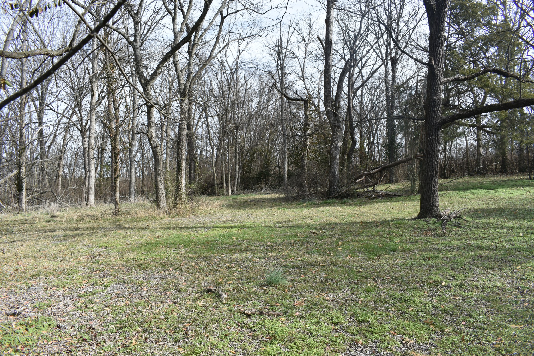 209 Hillcrest Drive Madison, TN 37115 - Photo 11 of 27 a view of outdoor space with trees all around