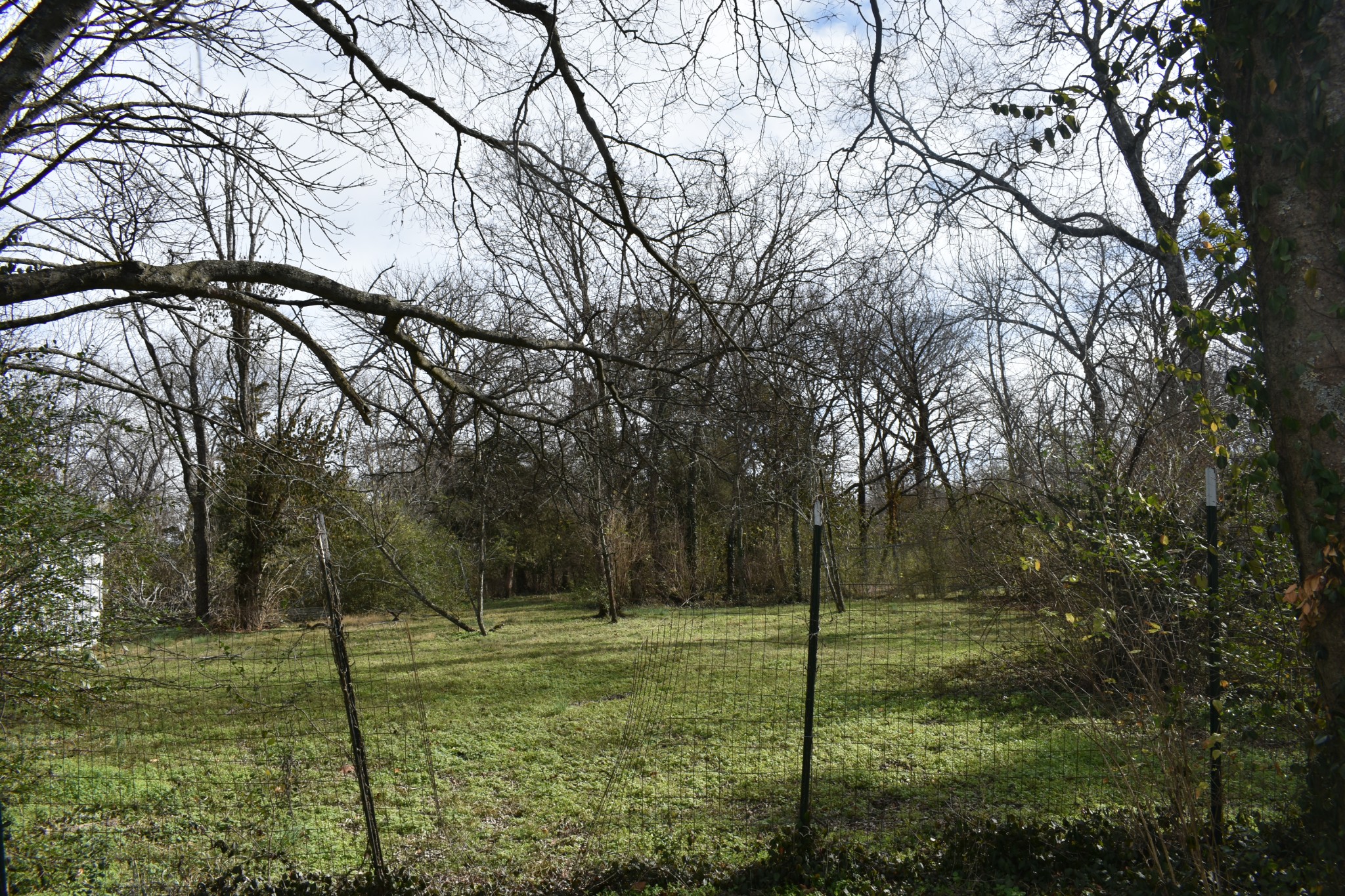 209 Hillcrest Drive Madison, TN 37115 - Photo 8 of 27 a view of a garden