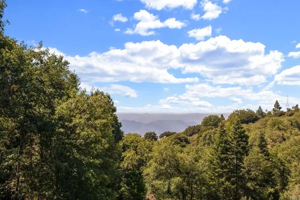 a view of a bunch of trees