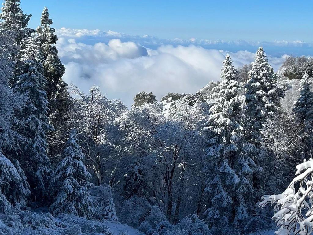 22209 Crestline Road Palomar Mountain, CA 92060 - Photo 42 of 51 a view of a lake
