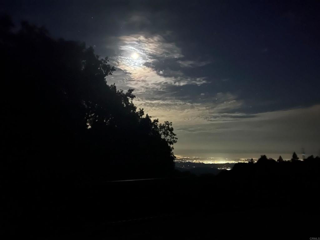 22209 Crestline Road Palomar Mountain, CA 92060 - Photo 46 of 51