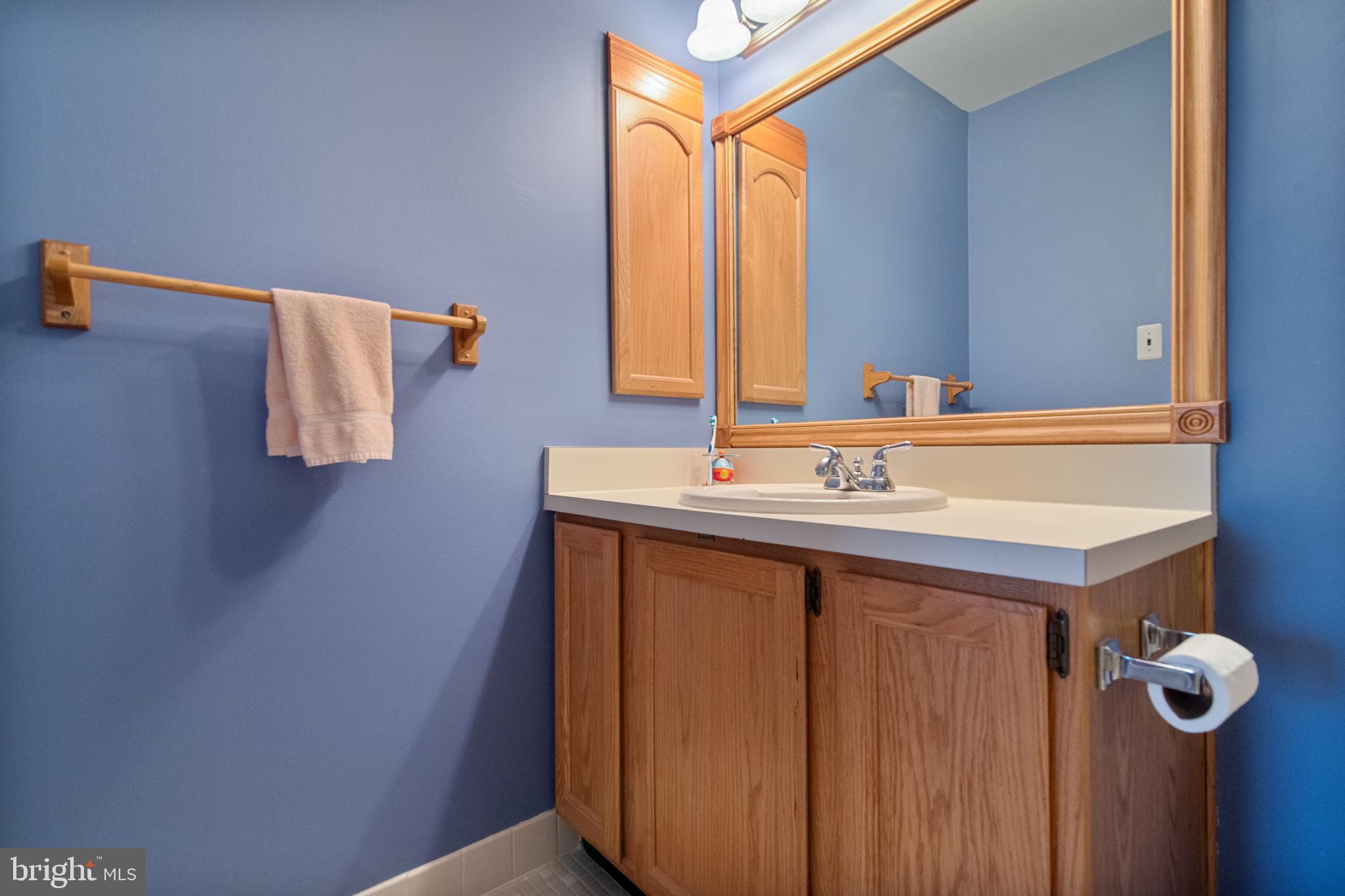 335 Silvia Street Ewing, NJ 08628 - Photo 10 of 31 Master Bathroom