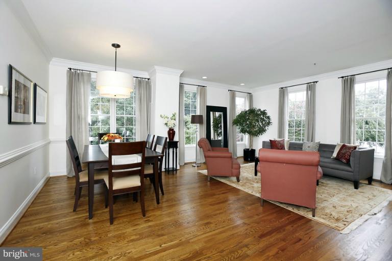 Living/Dining rooms