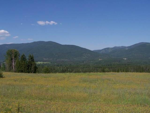 L-a Greenhouse Road Ione, WA 99139 - Photo 1 of 1