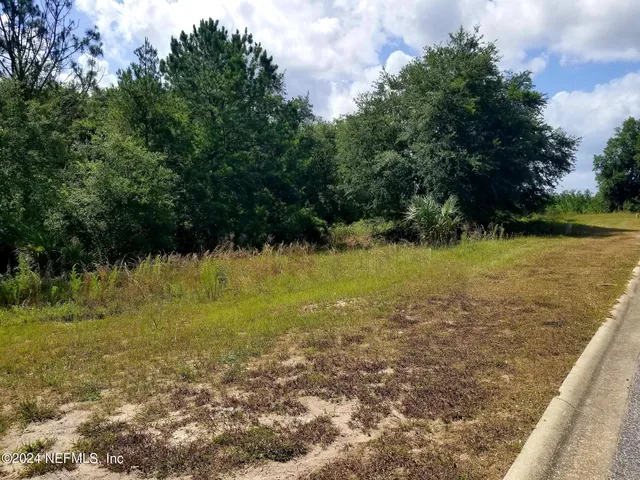 a view of a lake with a yard