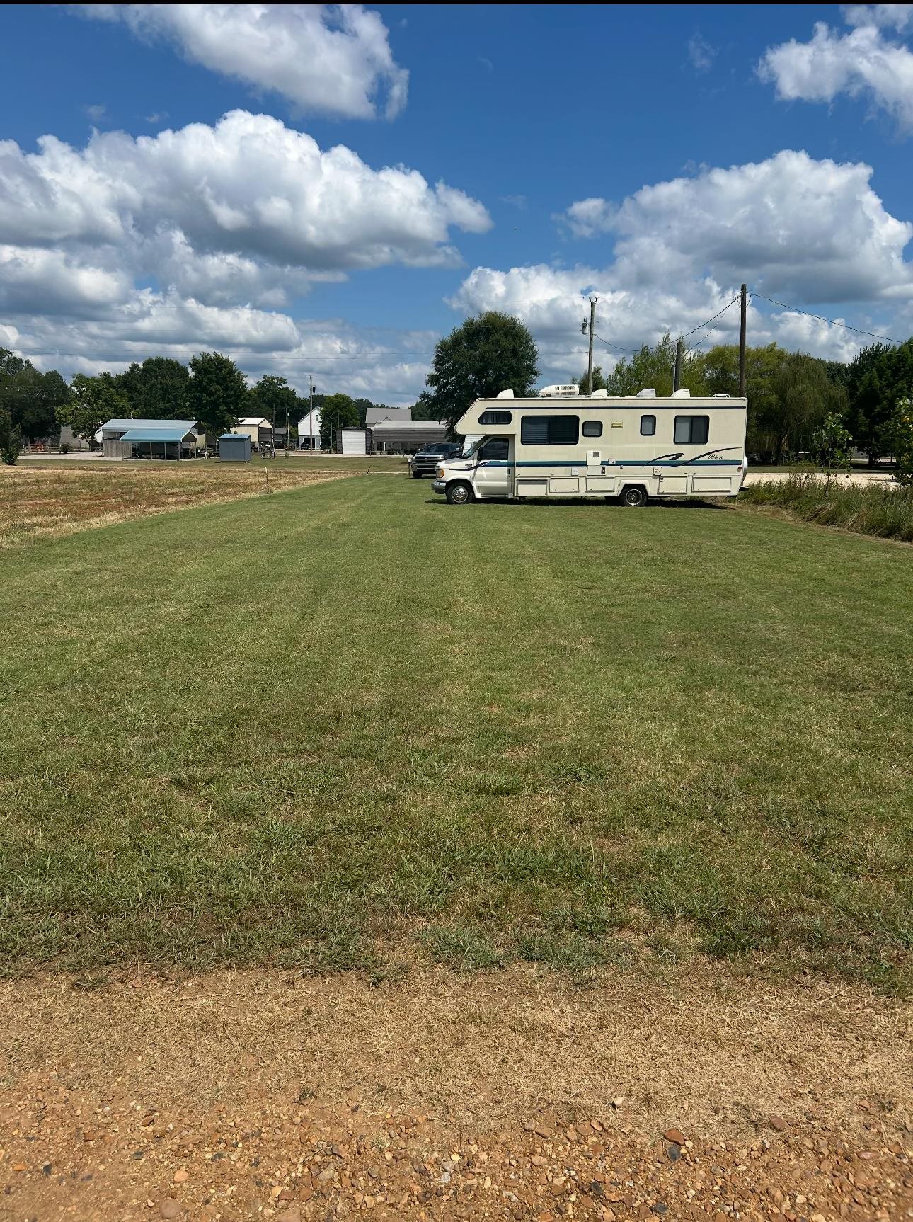 100 Cameron Lane Adamsville, TN 38310 - Photo 1 of 9 View of yard