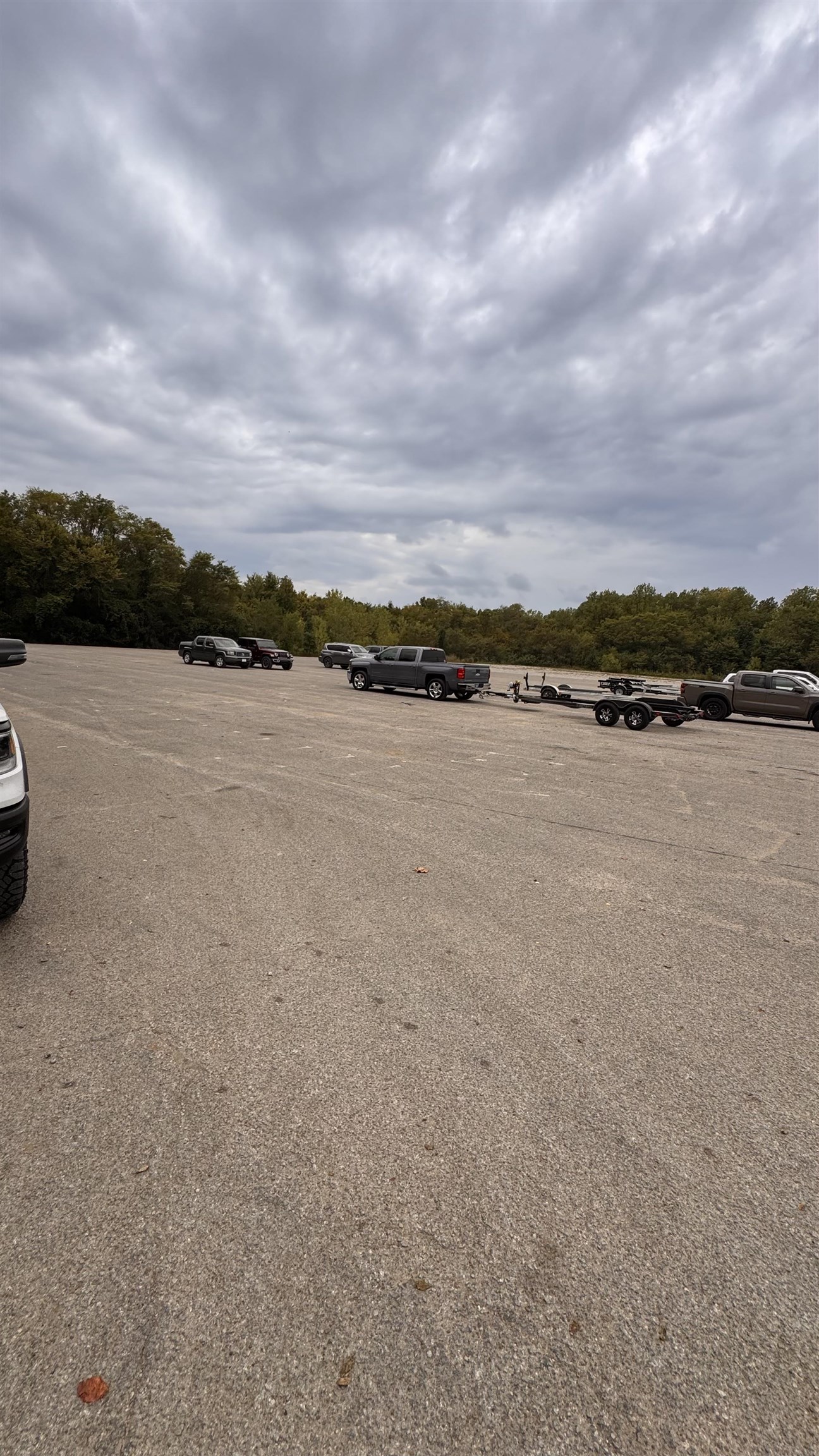 100 Cameron Lane Adamsville, TN 38310 - Photo 9 of 9 View of yard