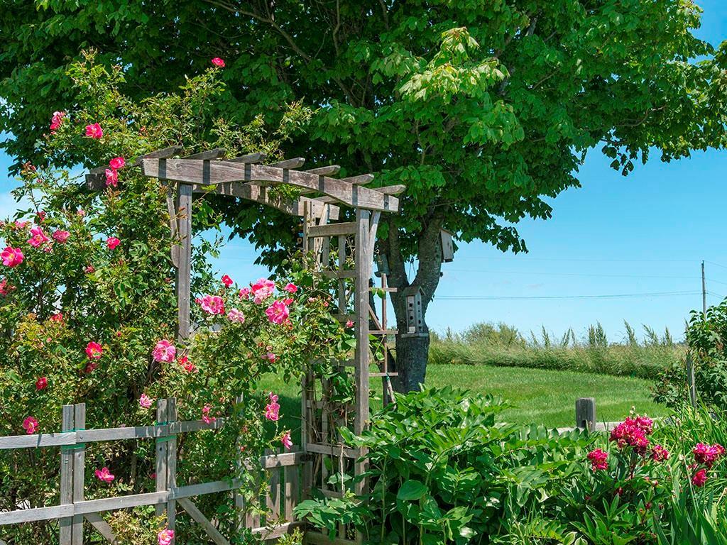 40 Morse Shore Road Harpswell, ME 04079 - Photo 18 of 35 Fenced in gardens with bowers of...
