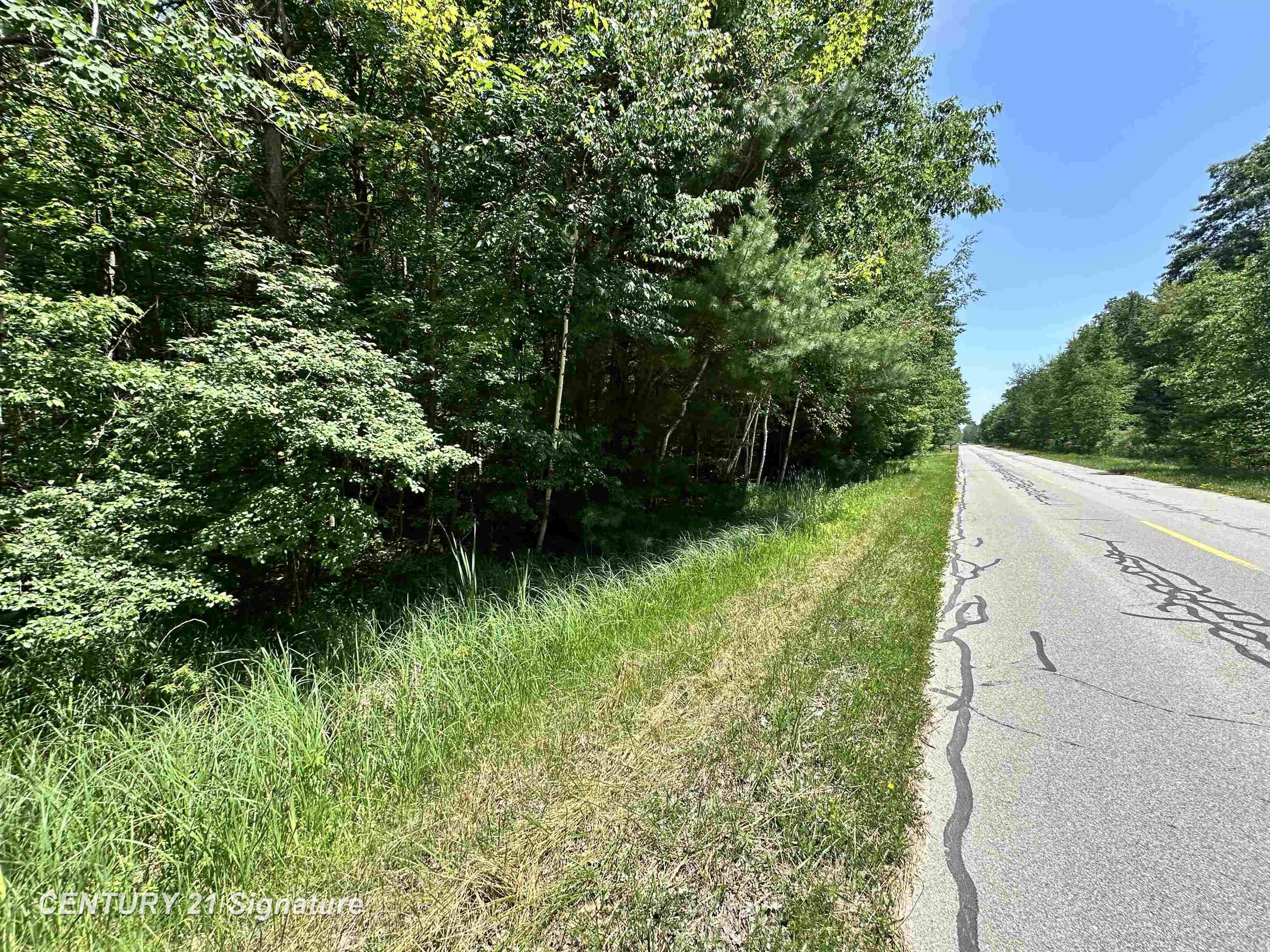 Vl Pinconning Road Beaverton, MI 48612 - Photo 3 of 4