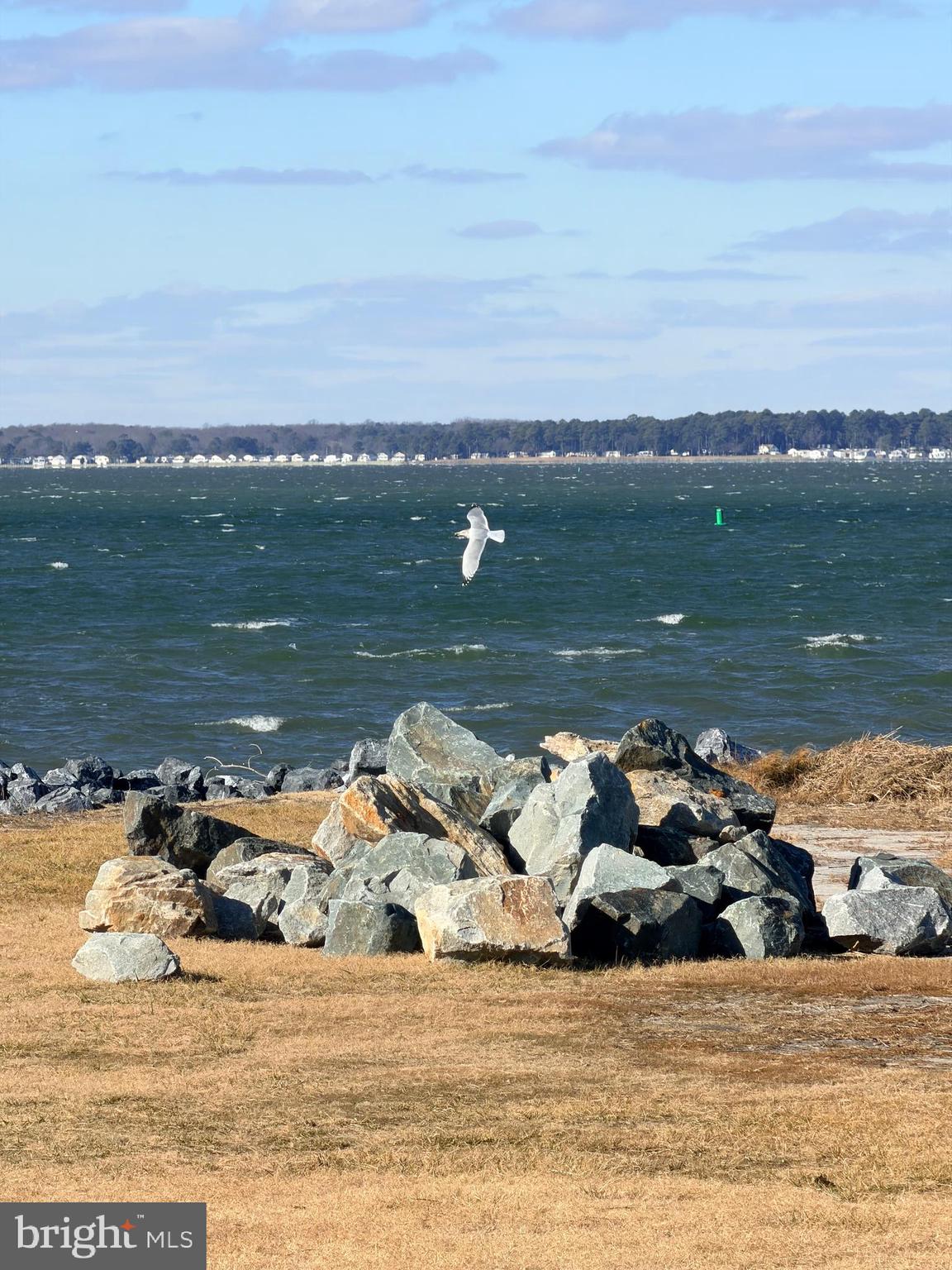 38267 Possum Road, Unit 271 Ocean View, DE 19970 - Photo 76 of 83