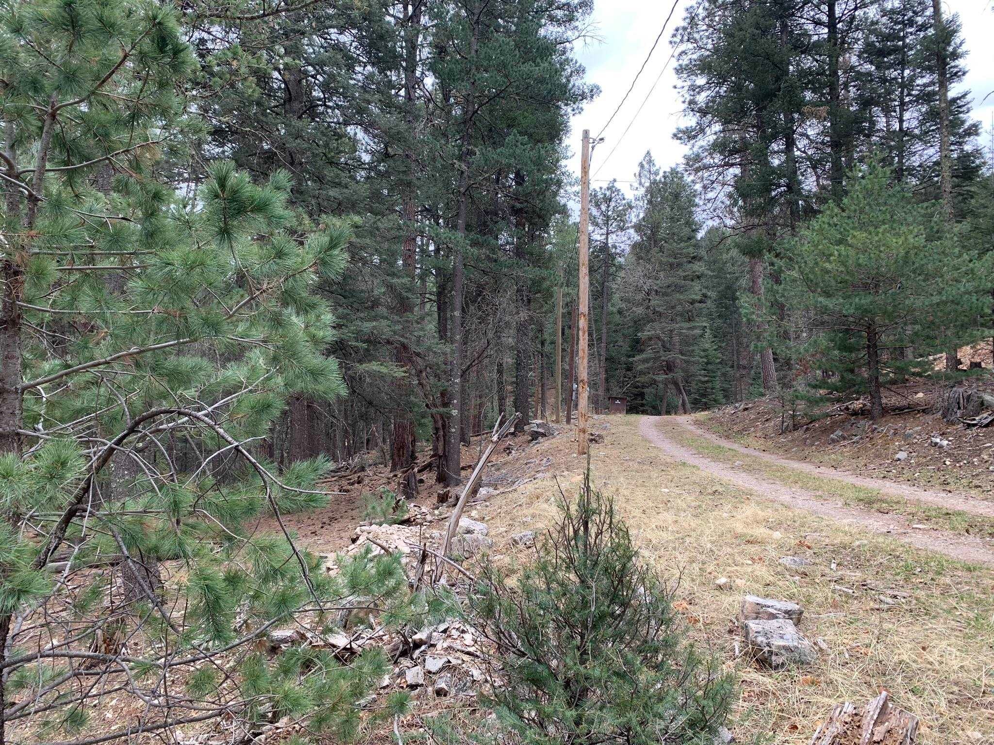 48 Cowan Road Mayhill, NM 88339 - Photo 3 of 37 Gallery Image 3