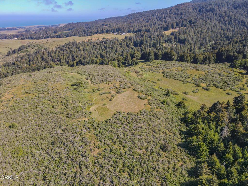 42000 Mountain View Road Manchester, CA 95459 - Photo 19 of 54