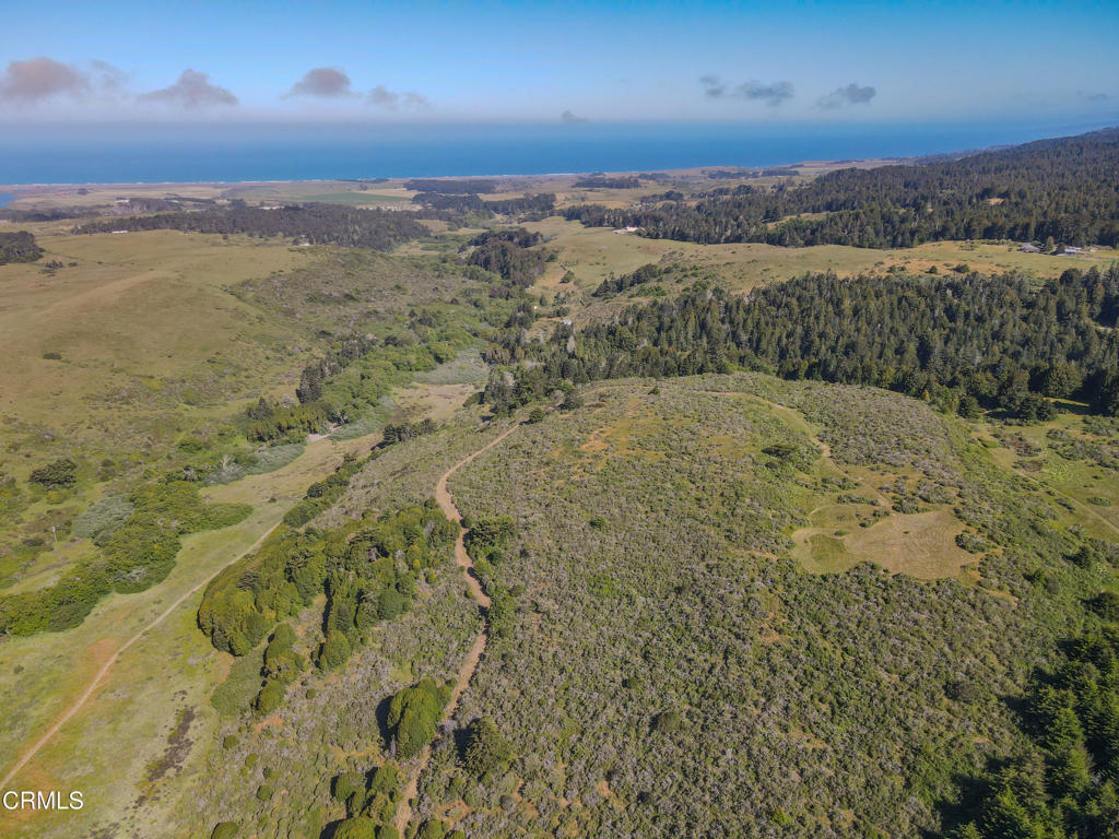 42000 Mountain View Road Manchester, CA 95459 - Photo 4 of 54