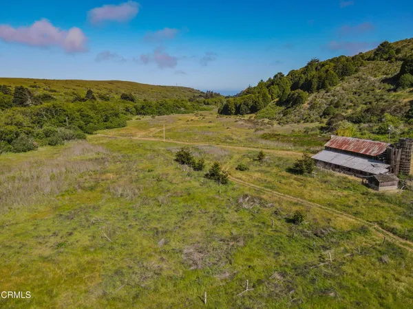 a view of a field with an ocean