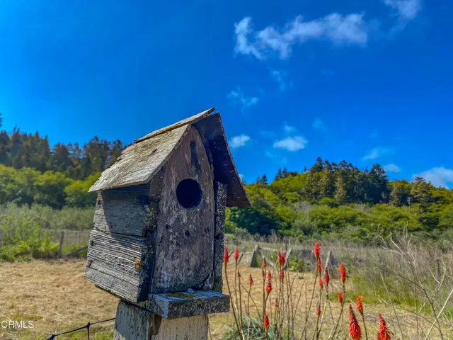a view of a wooden wall with wooden fence