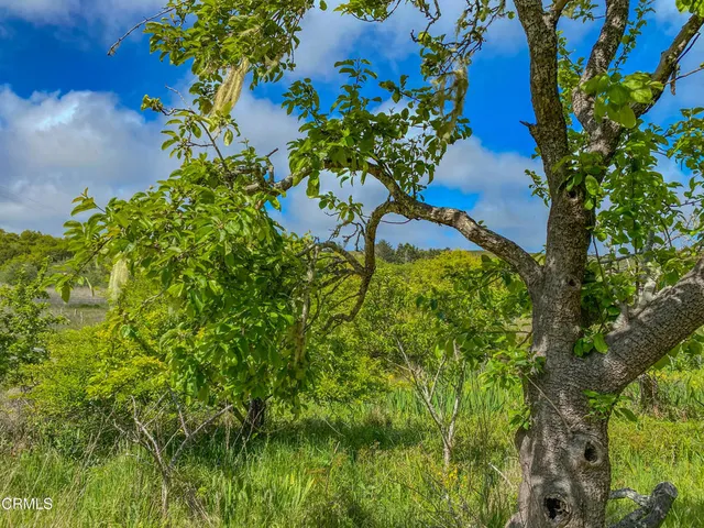 a view of outdoor space